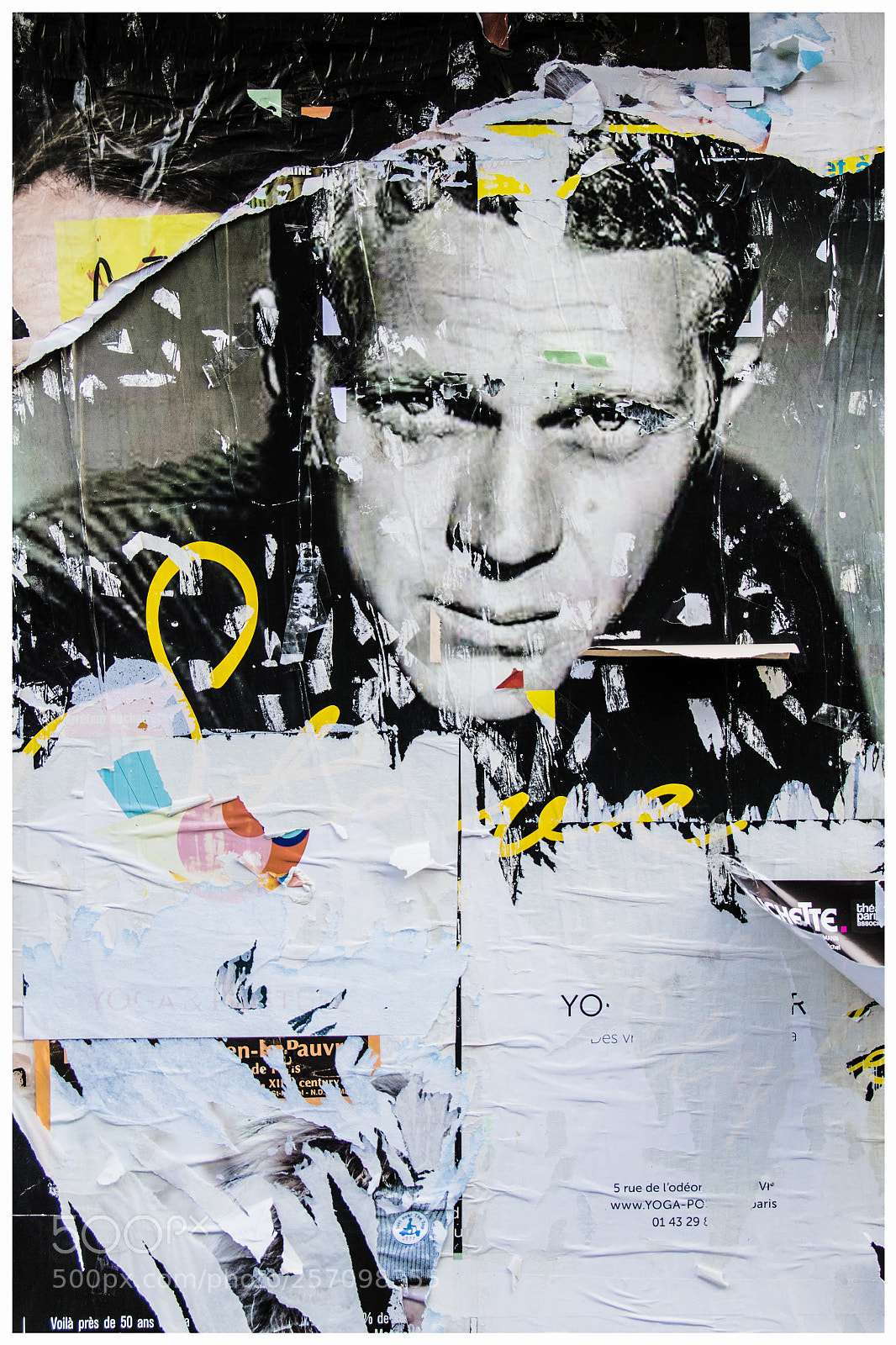 Canon EOS 760D (EOS Rebel T6s / EOS 8000D) sample photo. Steve mcqueen sur le photography