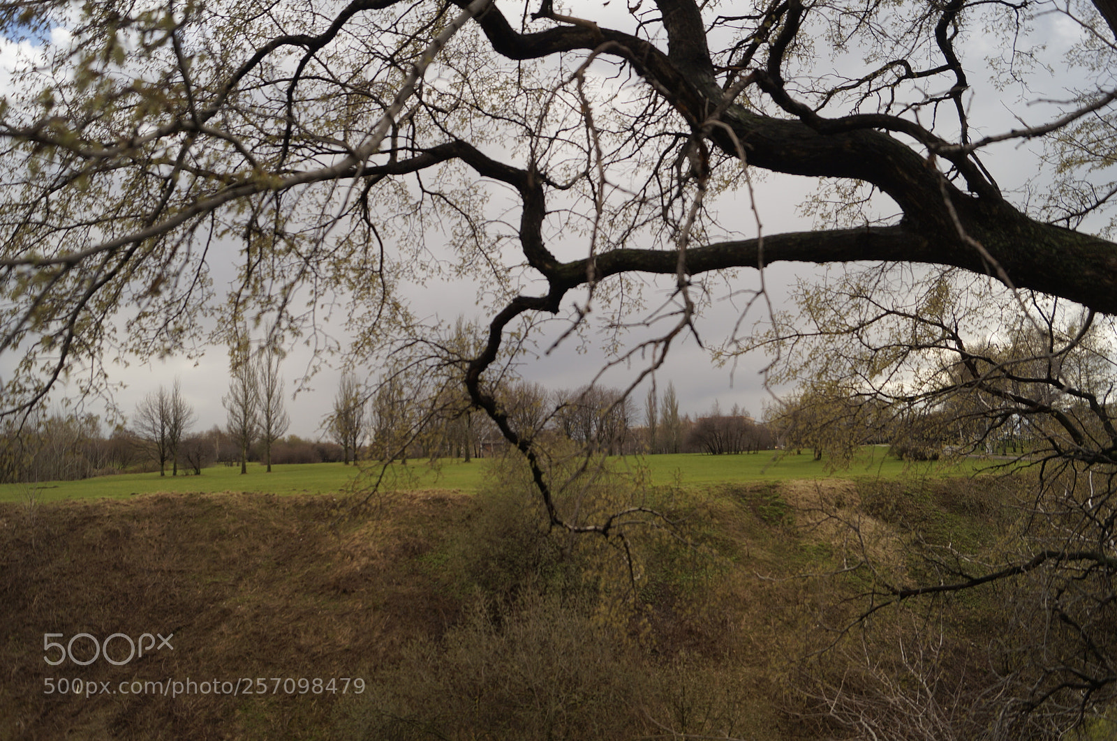 Sony SLT-A57 sample photo. Untitled photography