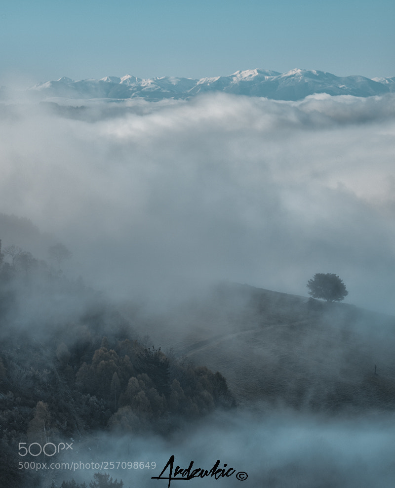 Canon EOS 7D Mark II sample photo. In the morning photography