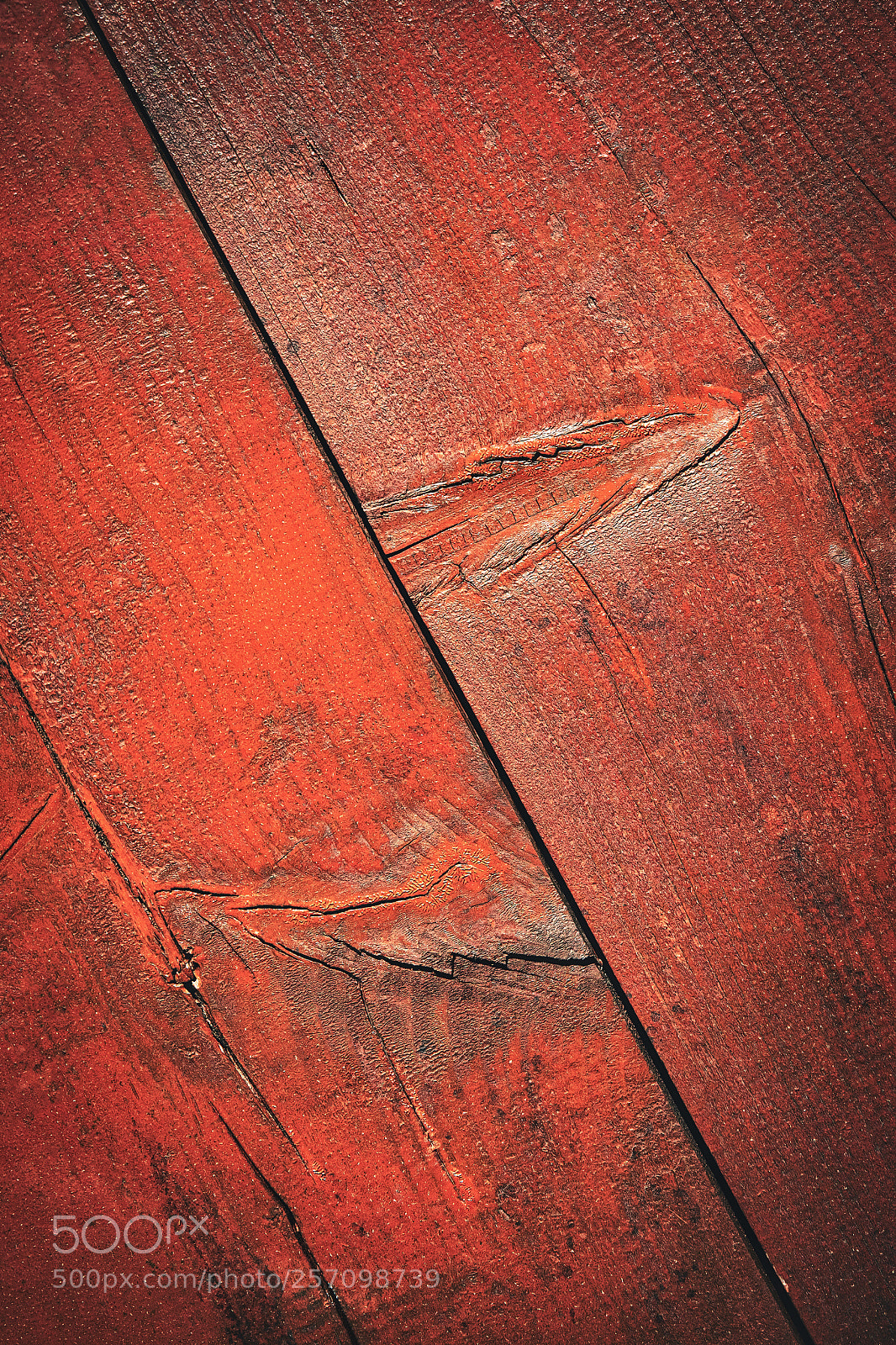 Nikon D5500 sample photo. Detail of a wood photography