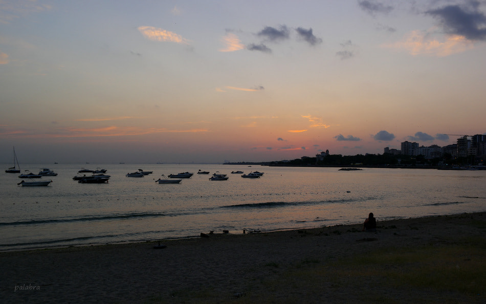 Samsung NX1 sample photo. ... photography