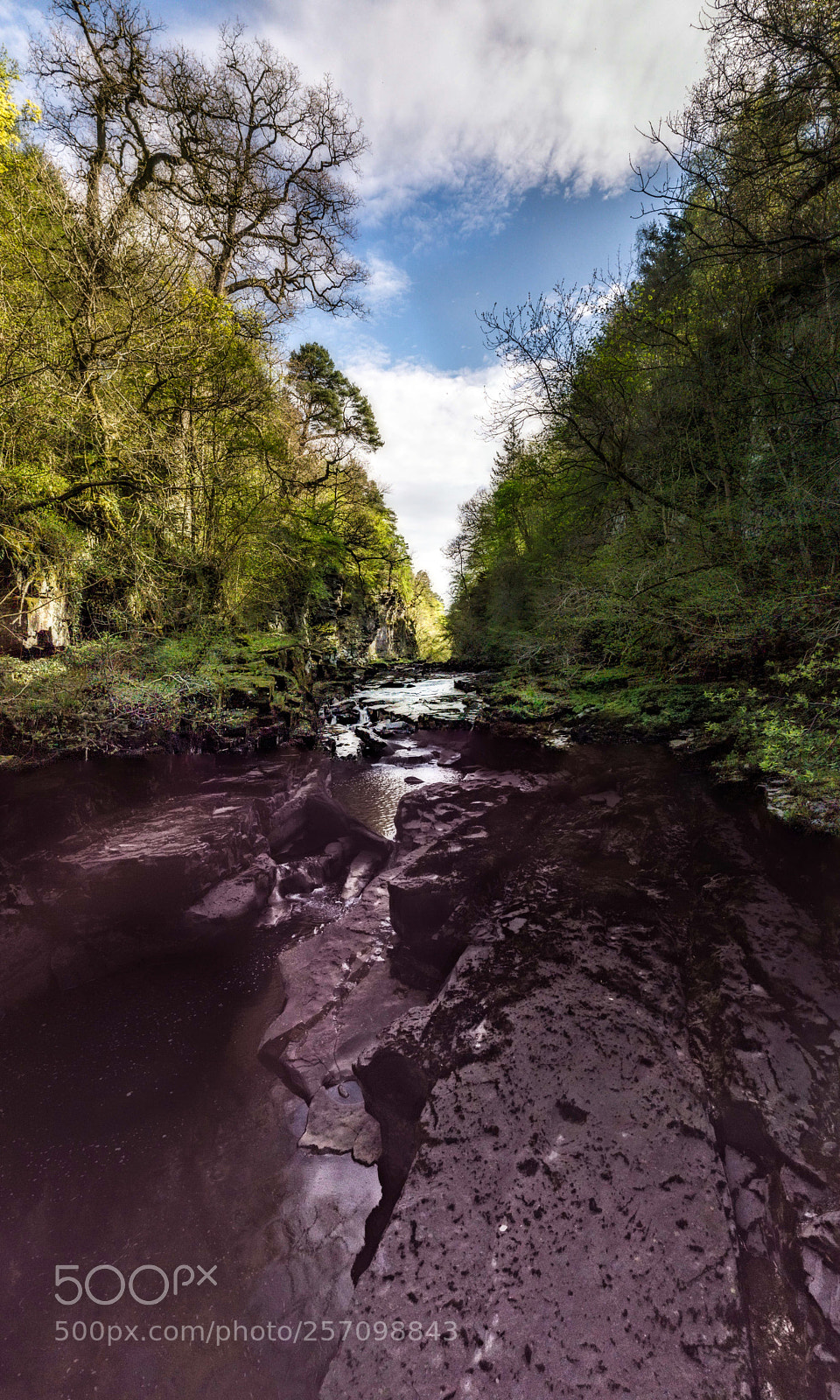DJI FC220 sample photo. Down the clyde photography