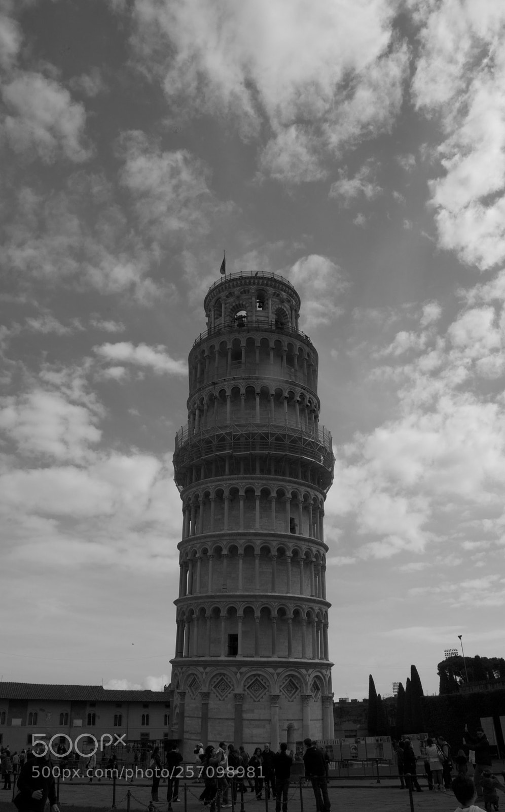 Nikon D60 sample photo. Version photography