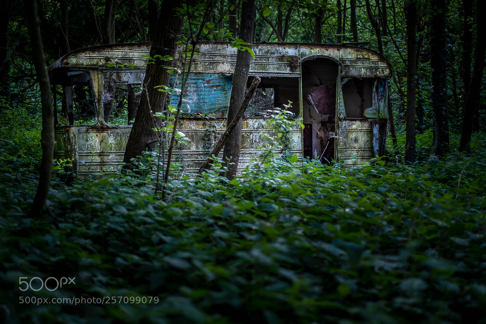 Fujifilm X-Pro2 sample photo. Wild camping photography