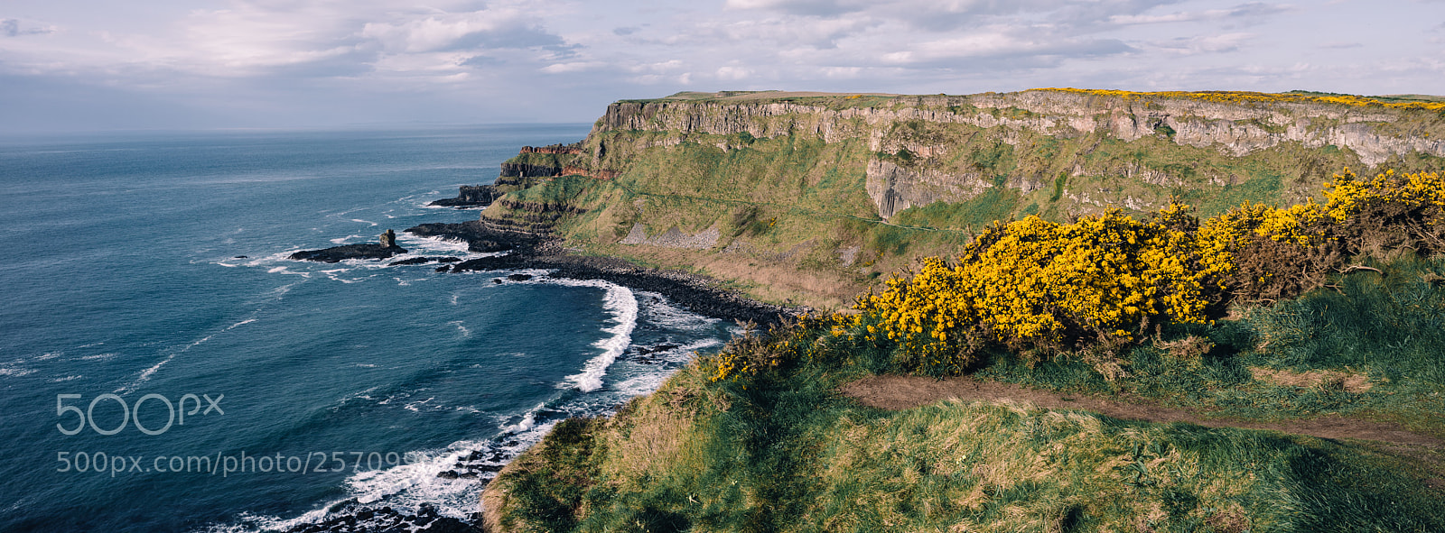 Sony a7R sample photo. Coastline above the giant photography