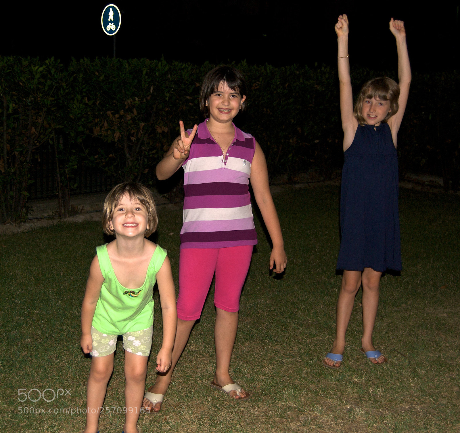 Nikon D60 sample photo. Version photography
