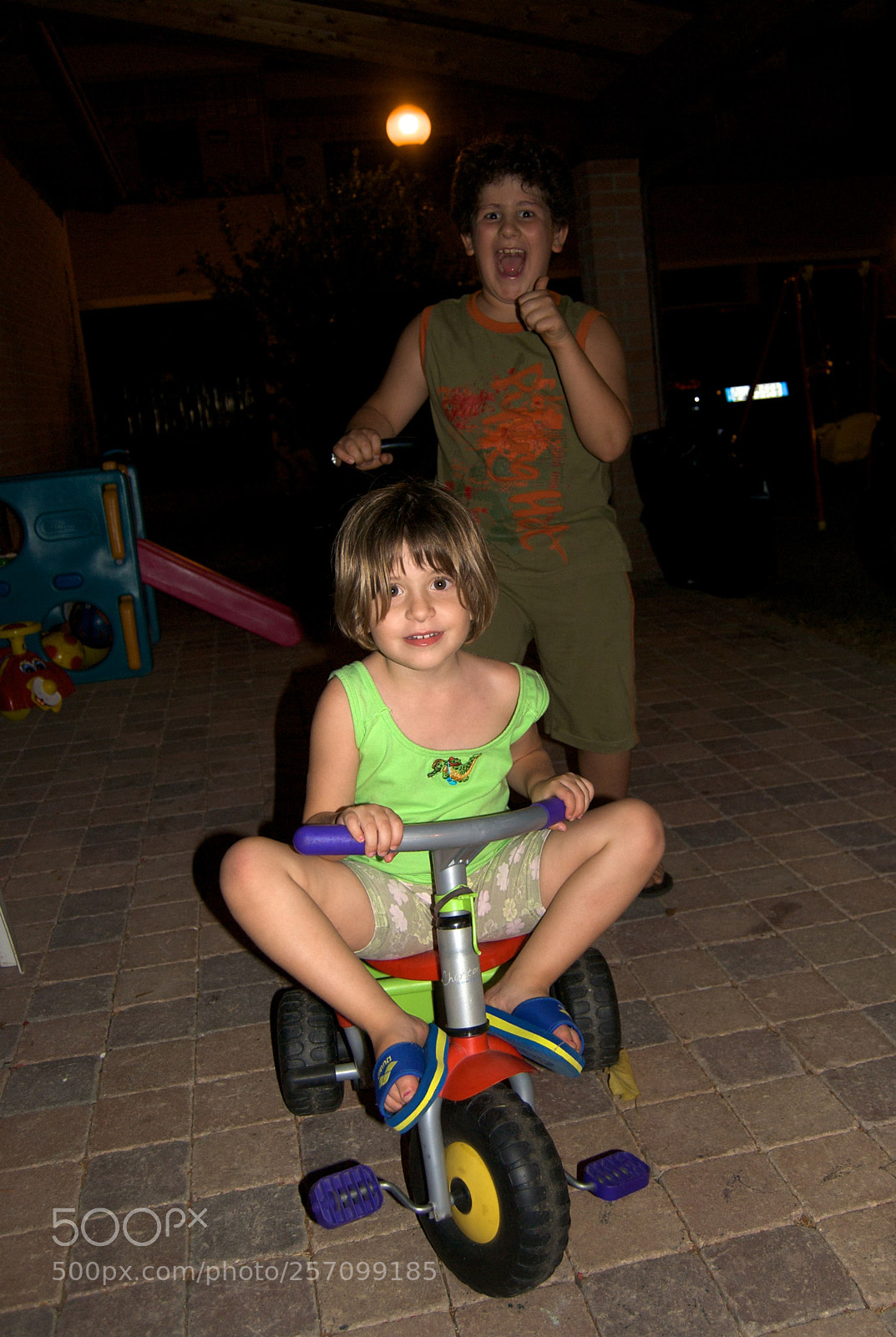 Nikon D60 sample photo. Version photography