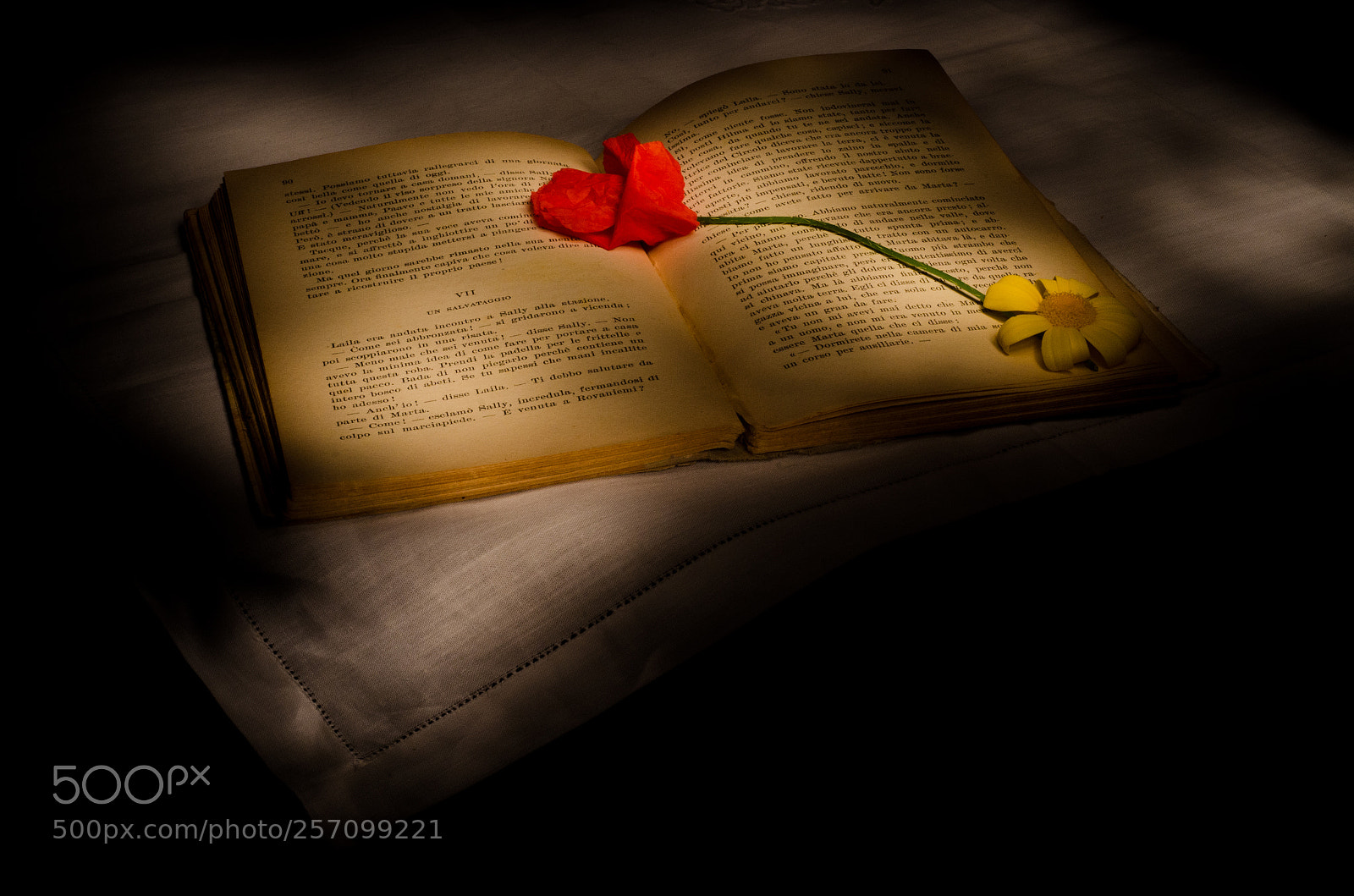 Nikon D7000 sample photo. Untitled photography