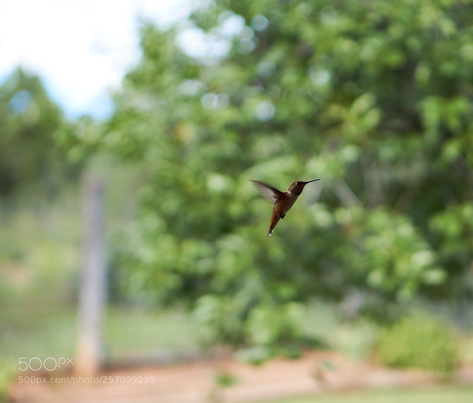 Sony a6000 sample photo. Untitled photography