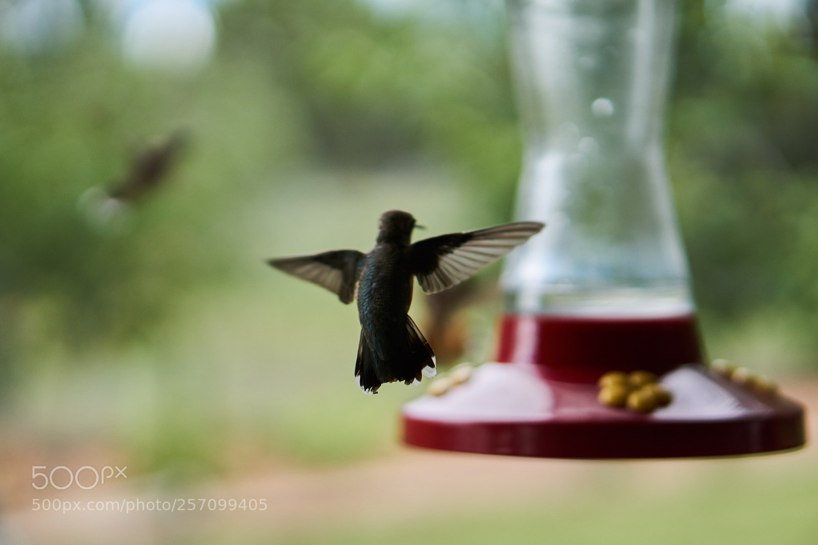 Sony a6000 sample photo. Untitled photography