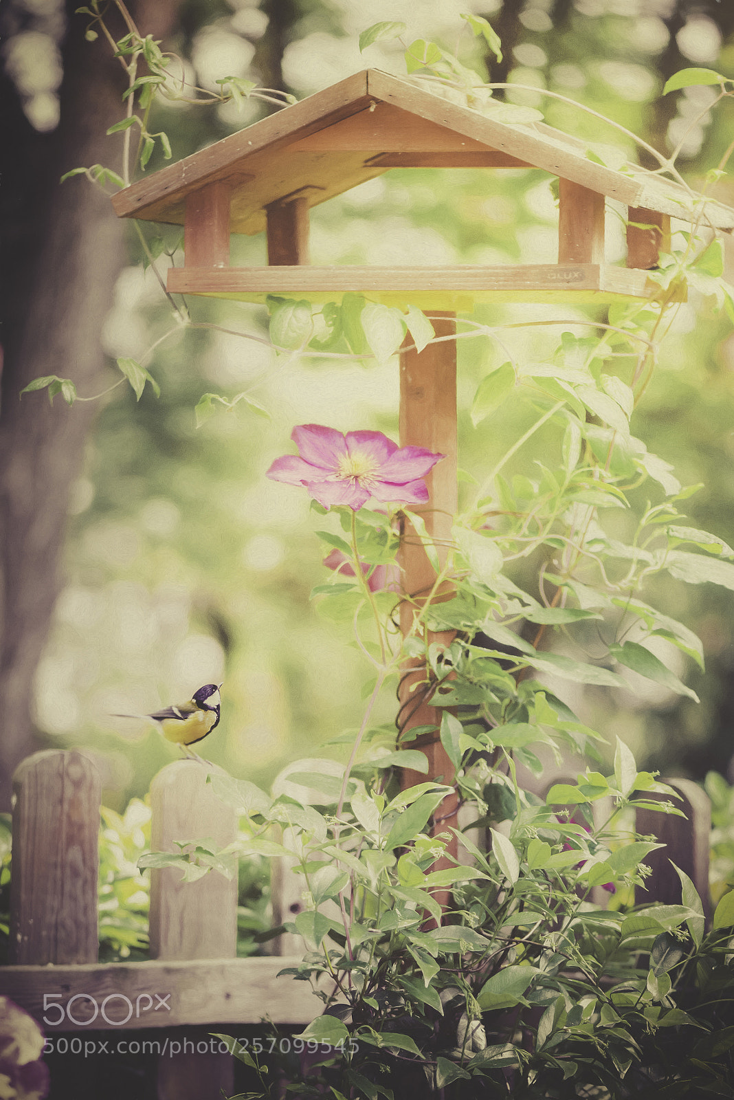 Nikon D600 sample photo. Lunchtime photography