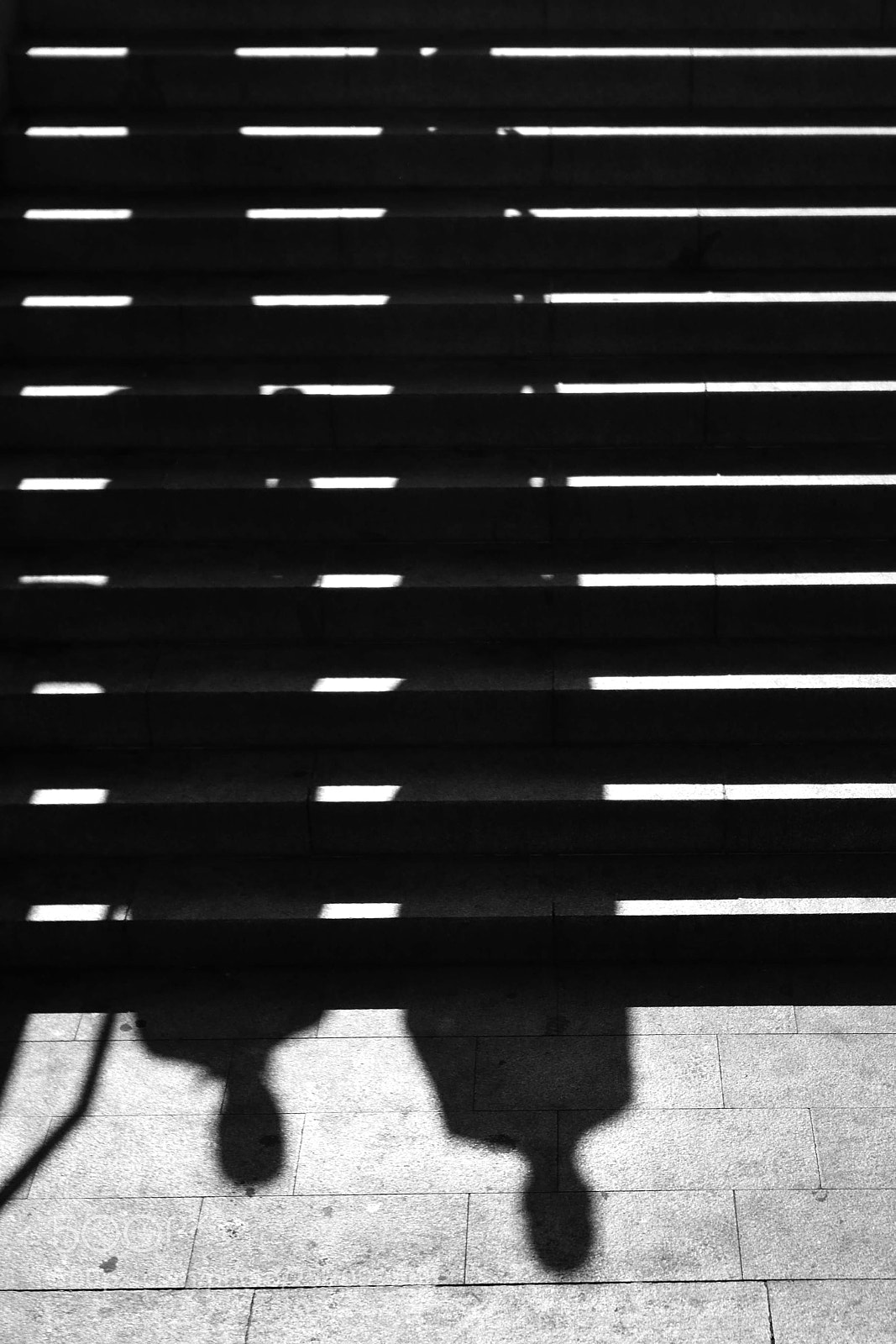 Nikon D7200 sample photo. Cartoon shadows photography