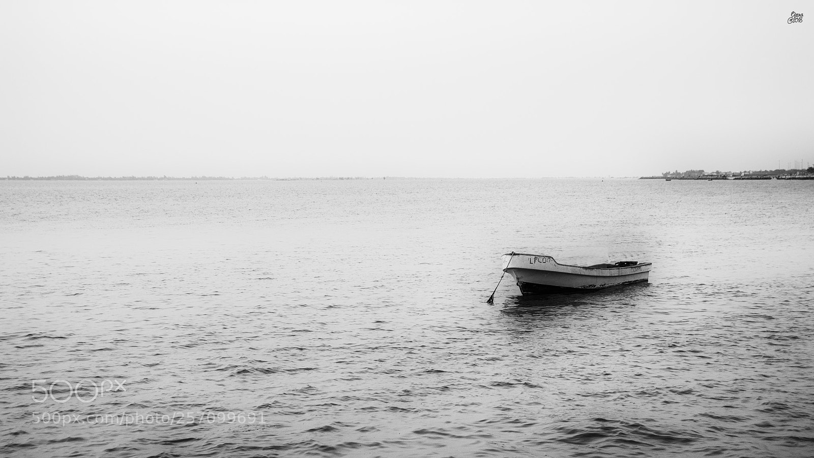 Nikon D610 sample photo. Almeida photography