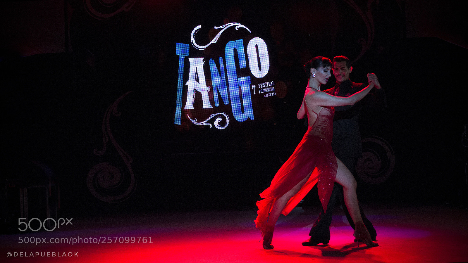 Nikon D3100 sample photo. Tango fest photography
