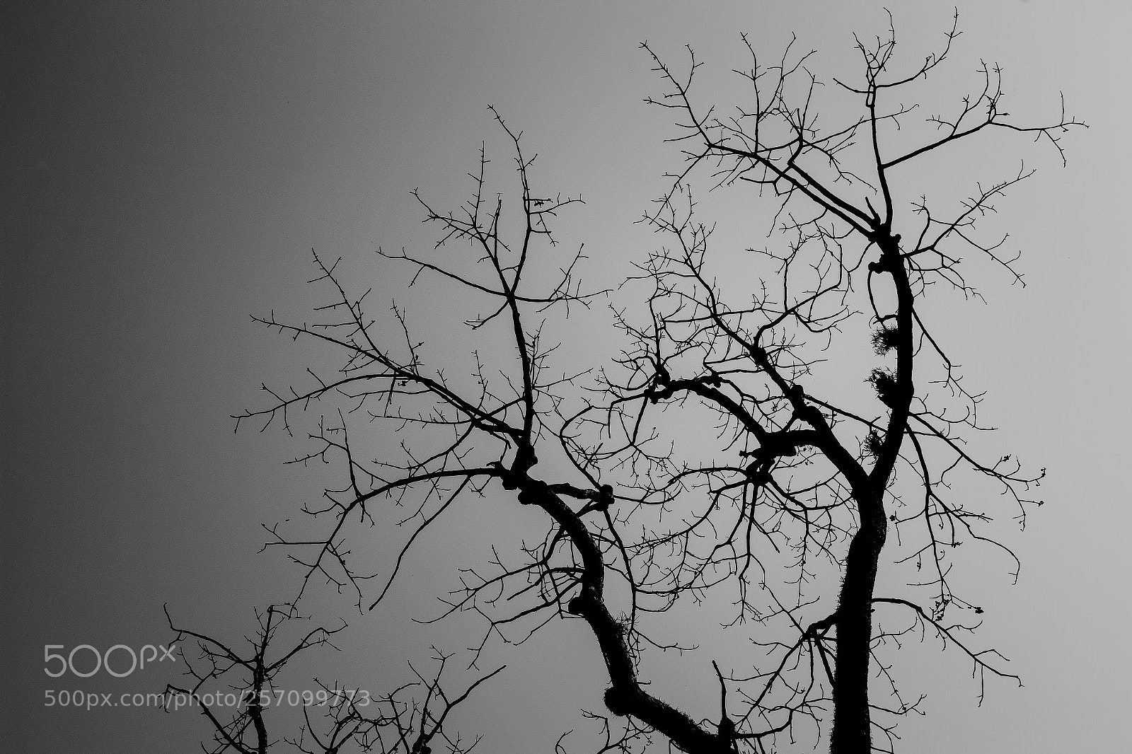 Canon EOS 70D sample photo. Nepal photography