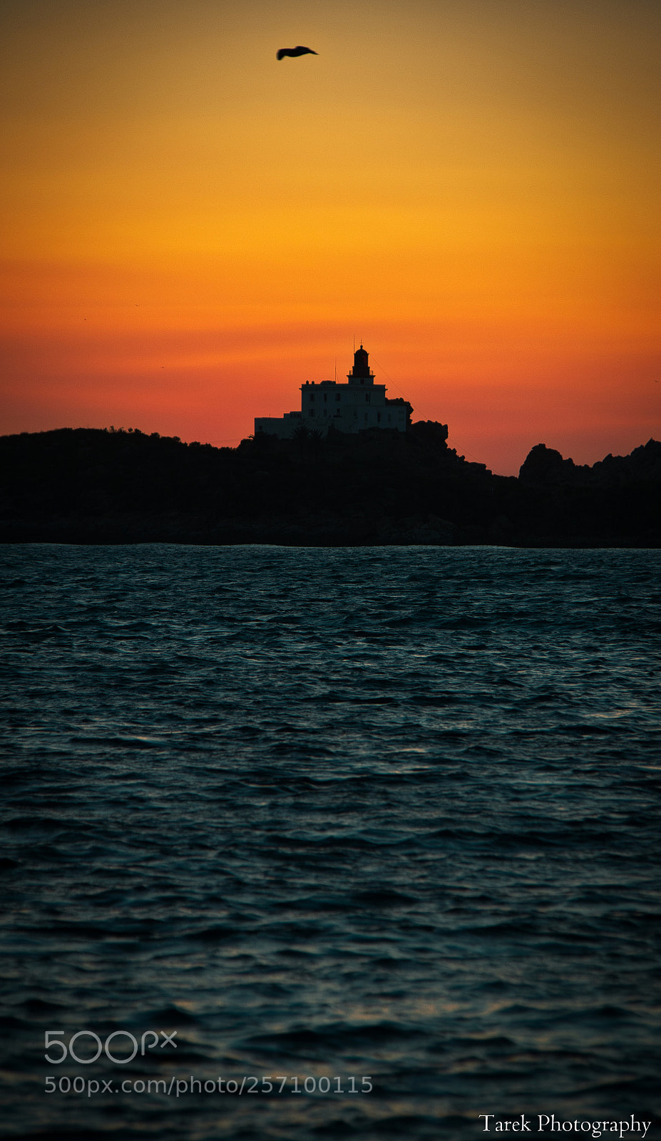Canon EOS 60D sample photo. Burning sky photography
