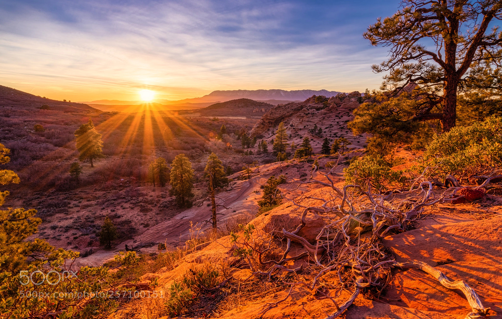 Nikon D750 sample photo. Luminar zion sunset photography
