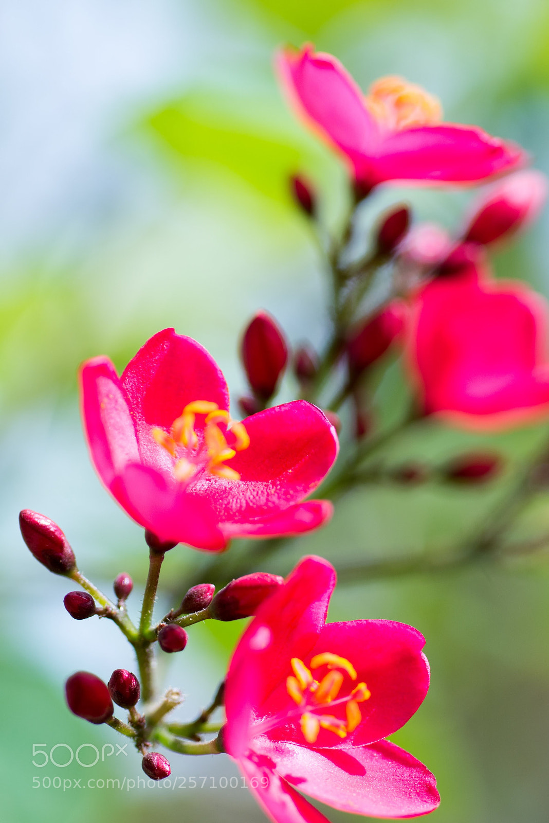 Nikon D600 sample photo. Untitled photography