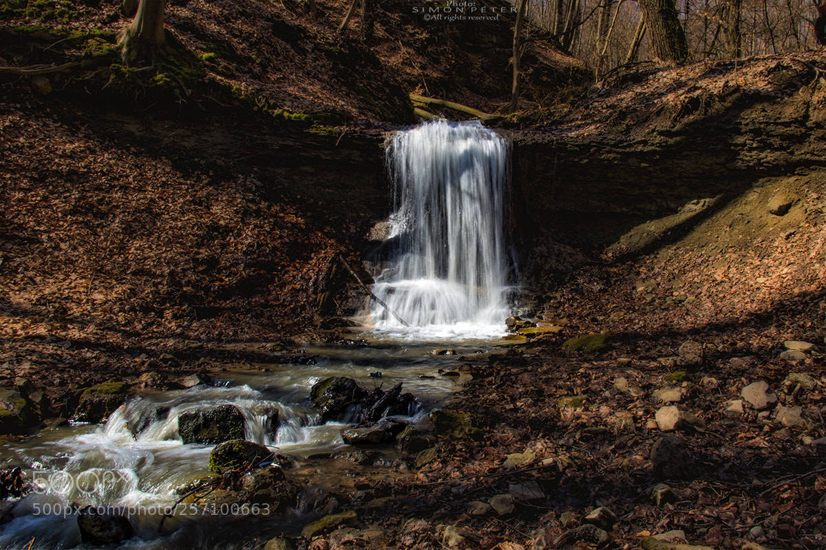 Sony SLT-A58 sample photo. Forest waterfall erdei v photography