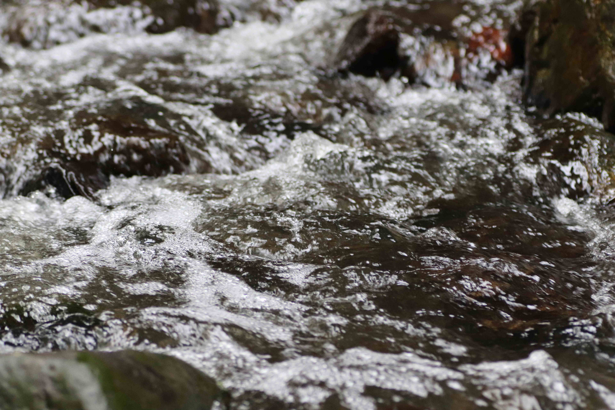 Canon EOS 200D (EOS Rebel SL2 / EOS Kiss X9) + Tamron SP AF 90mm F2.8 Di Macro sample photo. Flowing creek photography