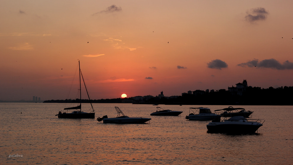 Samsung NX1 sample photo. ... photography