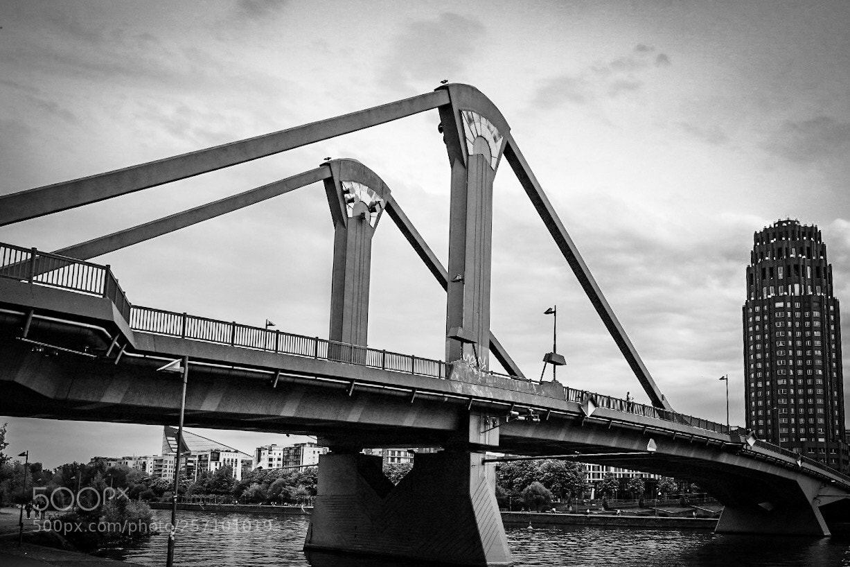 Fujifilm X-T20 sample photo. Untitled photography