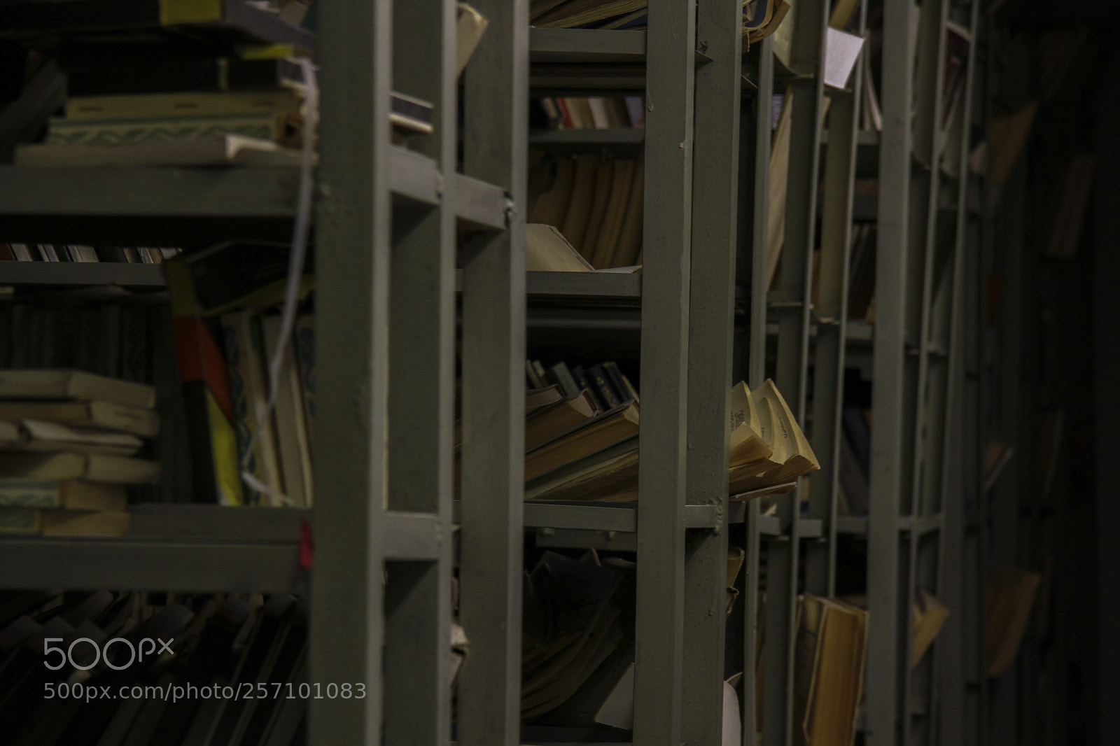 Canon EOS 7D sample photo. Untitled photography
