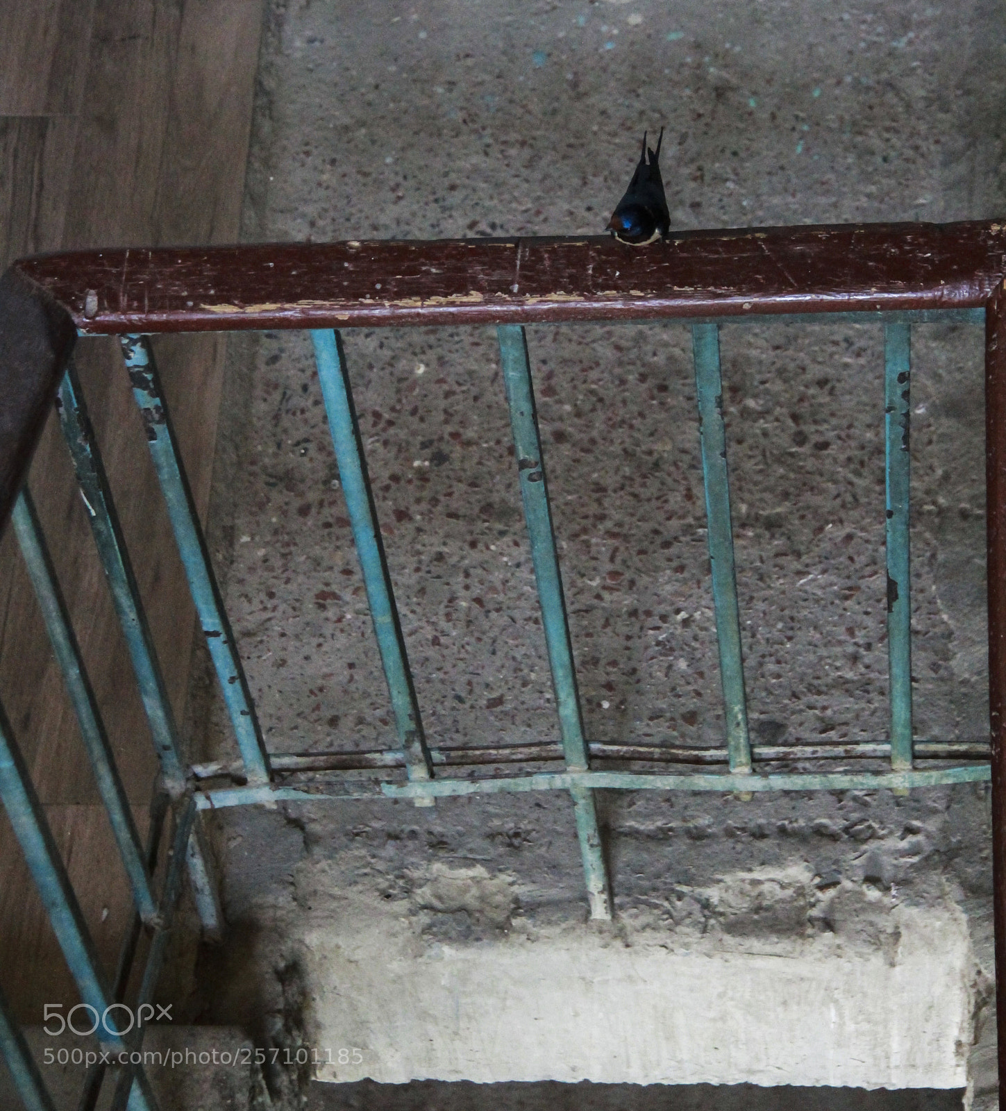Canon EOS 7D sample photo. Untitled photography