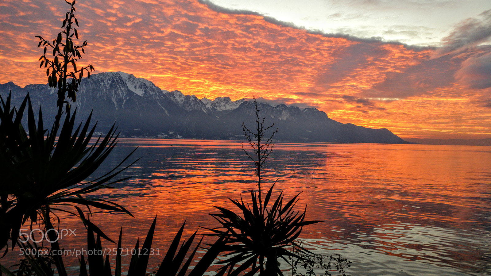 OnePlus A3003 sample photo. Sunset over lake geneva photography