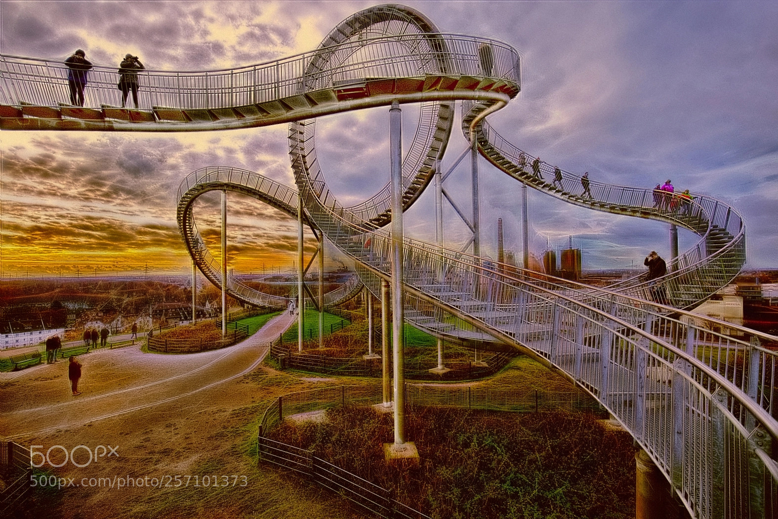 Canon EOS 6D sample photo. Tiger & turtle photography