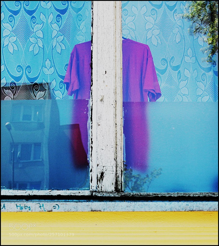 Canon EOS 7D Mark II sample photo. Untitled photography