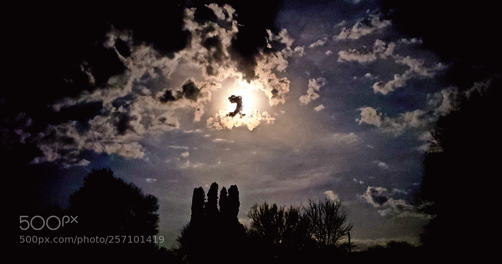 Samsung Galaxy S9+ sample photo. From the step photography