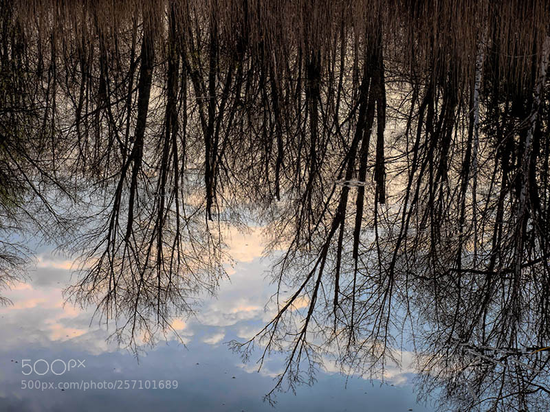 Olympus OM-D E-M1 Mark II sample photo. Mirror-mirror photography