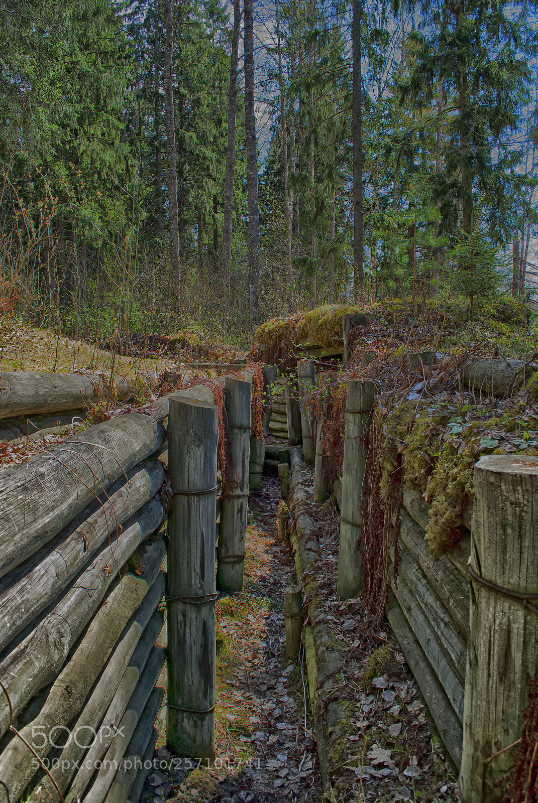 Nikon D3000 sample photo. Trench photography