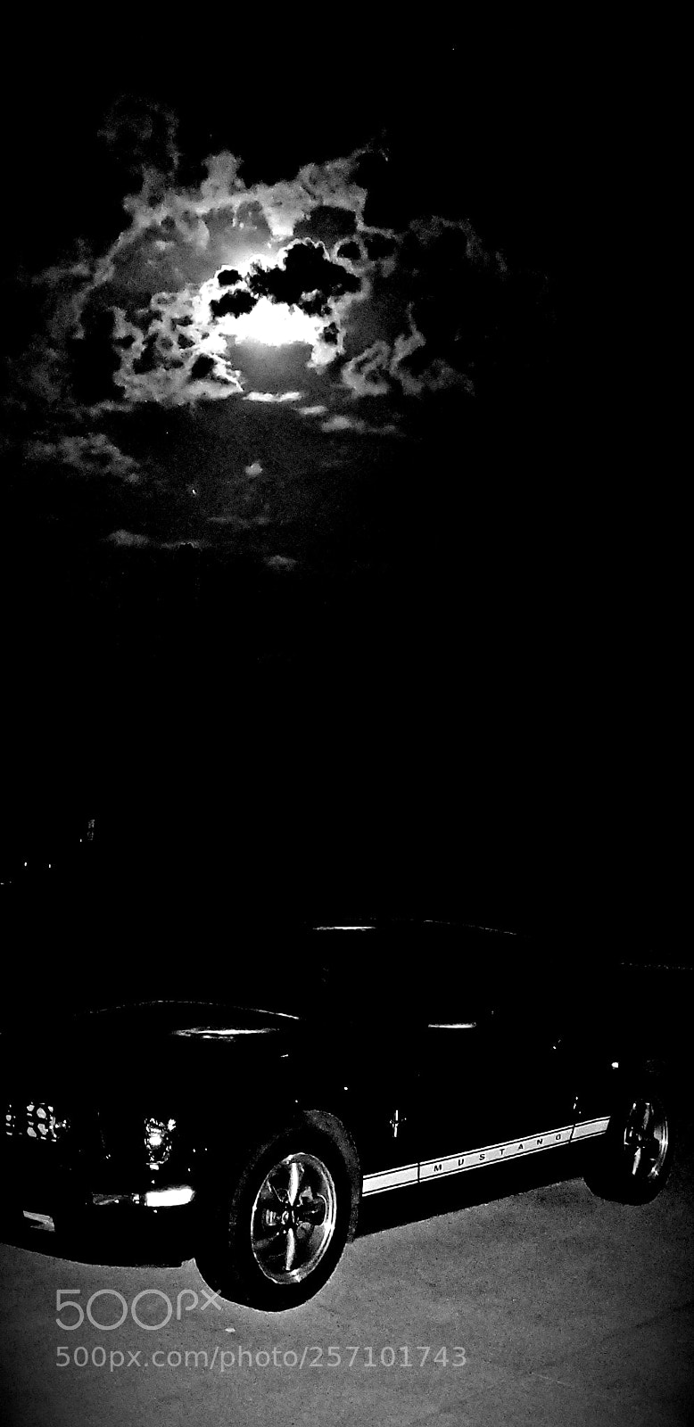 Samsung Galaxy S9+ sample photo. Bw photography