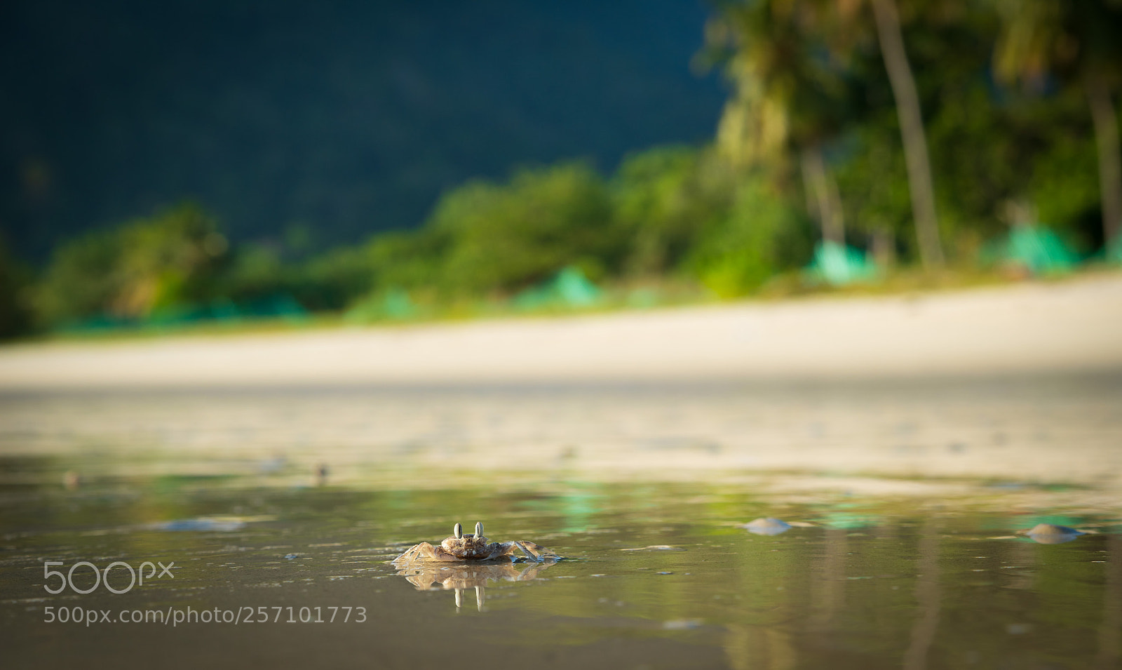 Pentax K-1 sample photo. Walk on the beach photography