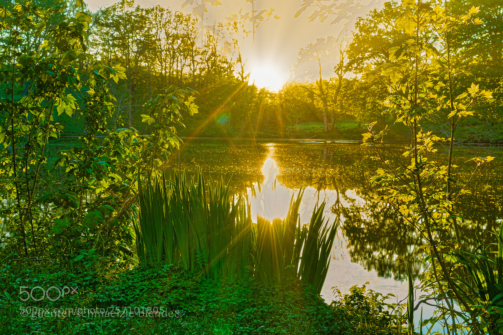 Sony a7 III sample photo. Abendstimmung am see photography