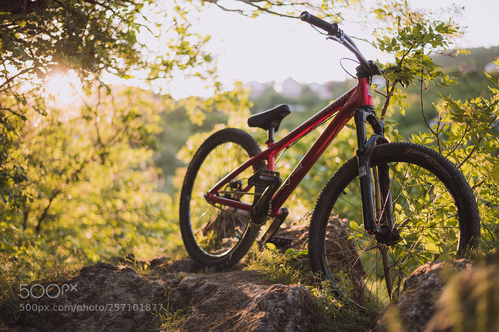 Nikon D850 sample photo. My bike photography