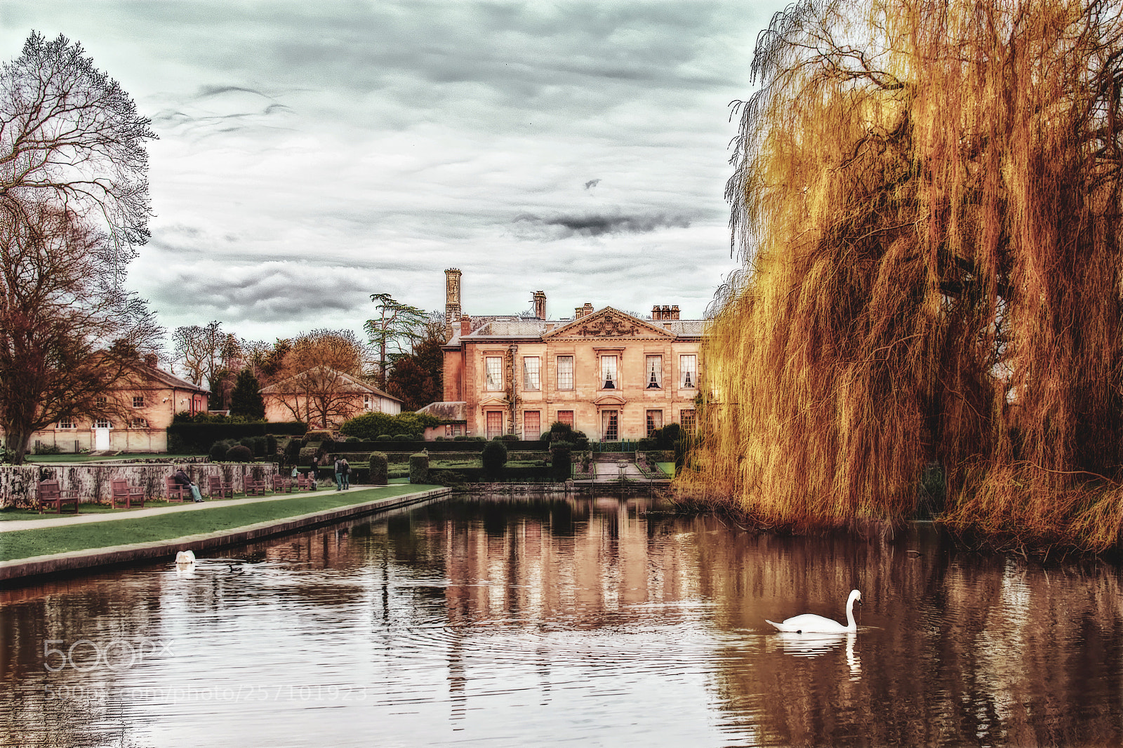 Nikon D7200 sample photo. Swans at coombe abbey photography