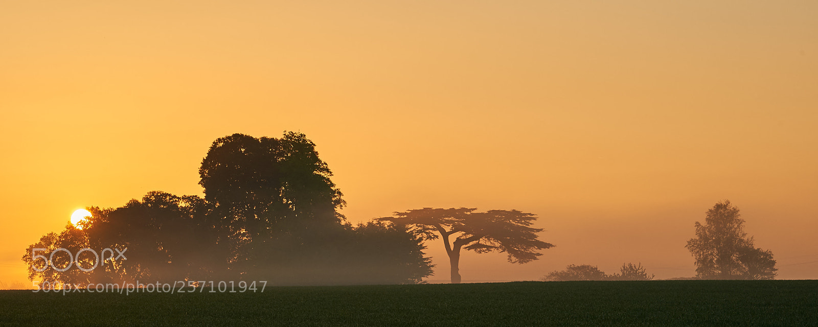 Nikon D700 sample photo. Atmospheric sunrise photography