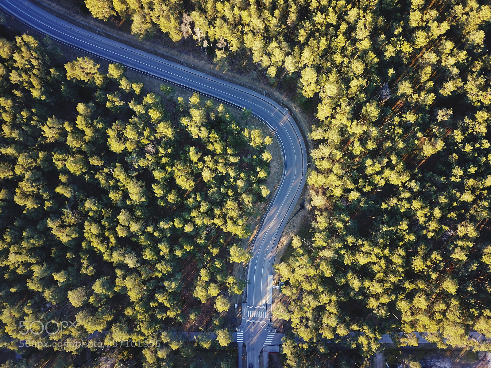 DJI FC220 sample photo. Road to forest photography