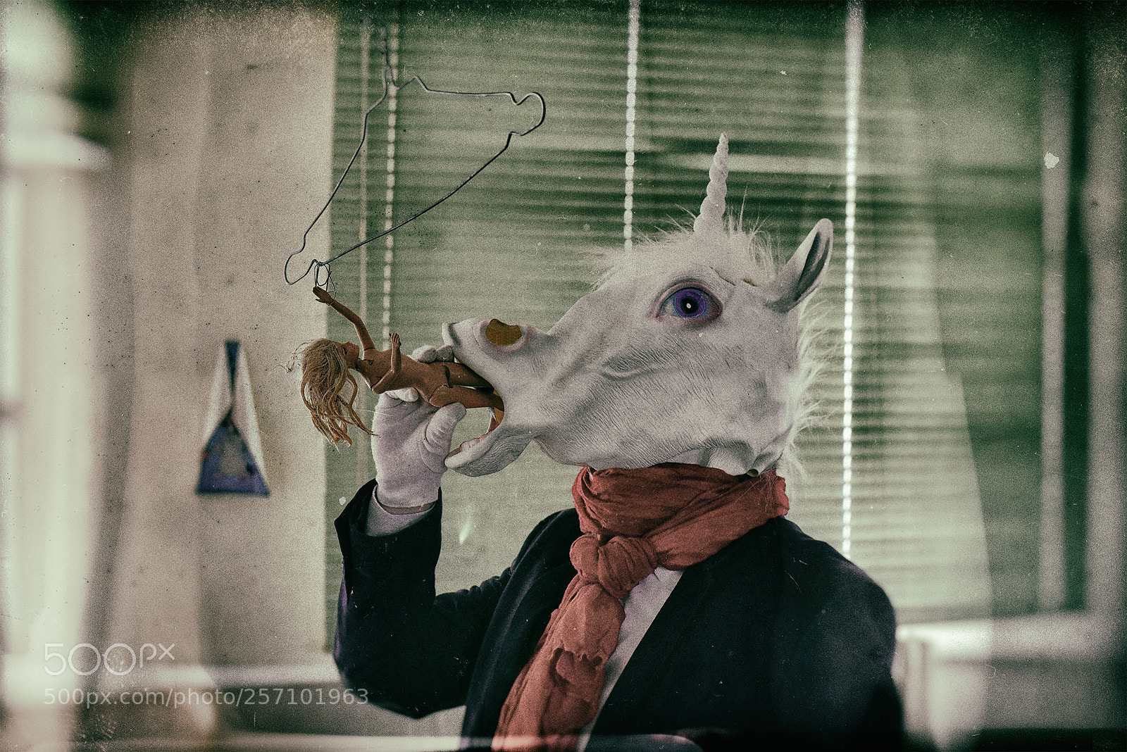 Nikon D750 sample photo. Unicorn eating photography