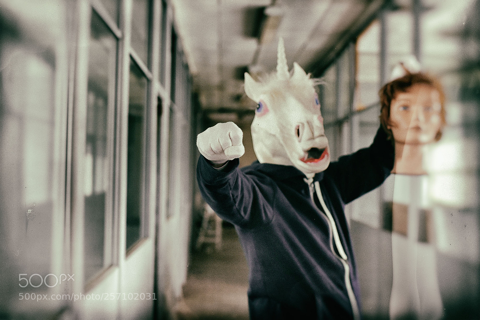 Nikon D750 sample photo. Revolution of unicorn photography