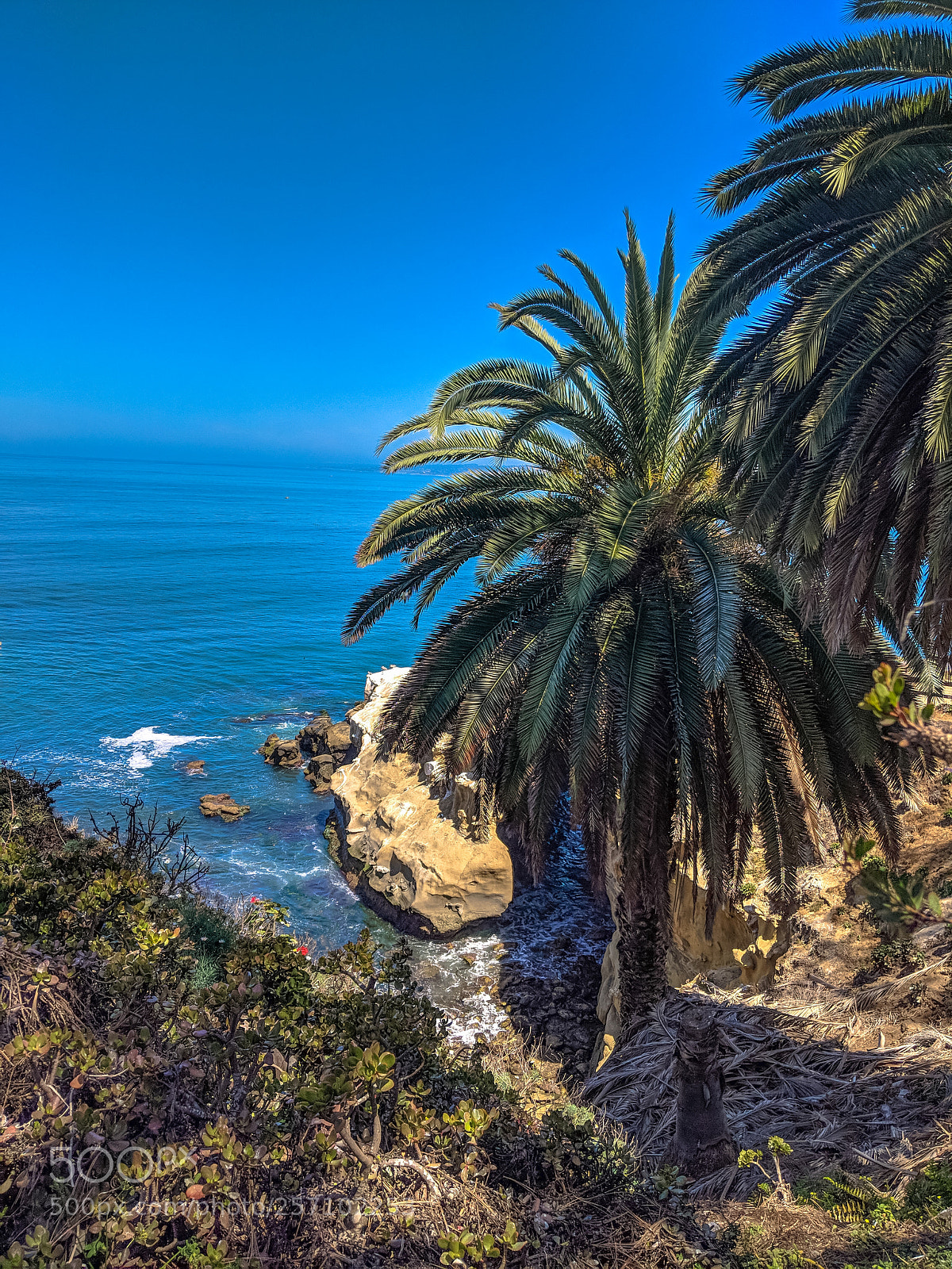 Google Pixel 2 sample photo. La jolla cove photography