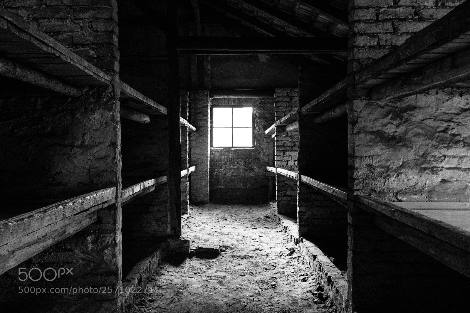 Canon EOS 760D (EOS Rebel T6s / EOS 8000D) sample photo. Light in auschwitz? photography