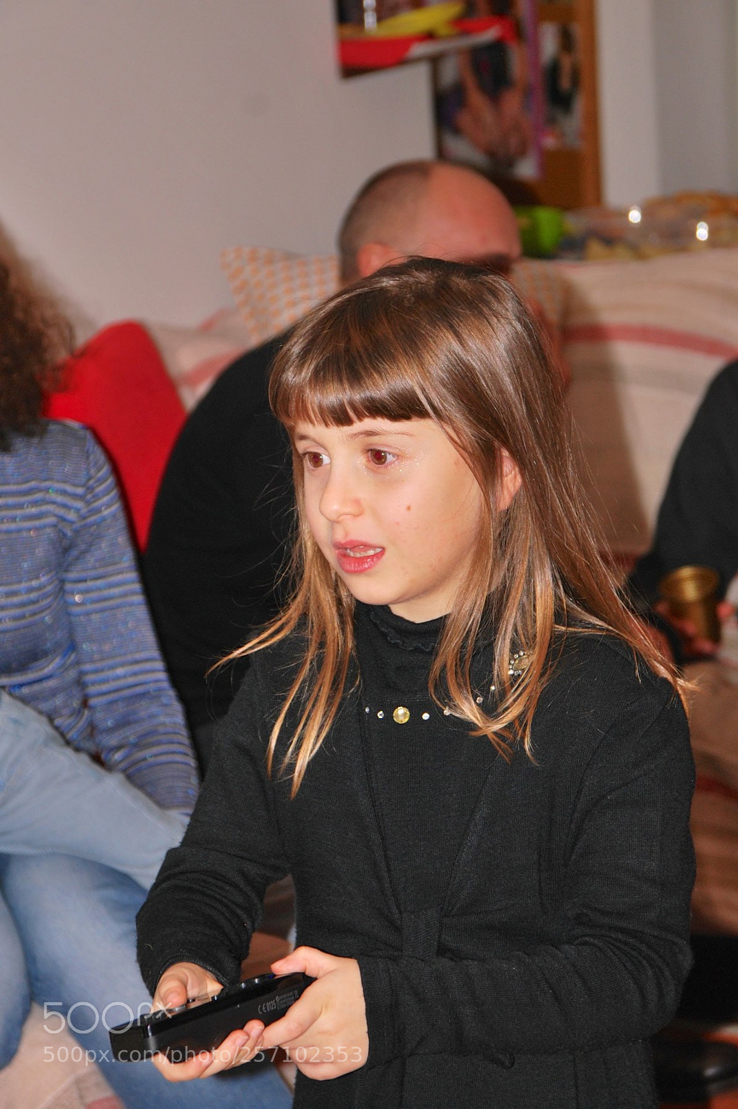 Nikon D60 sample photo. Version photography