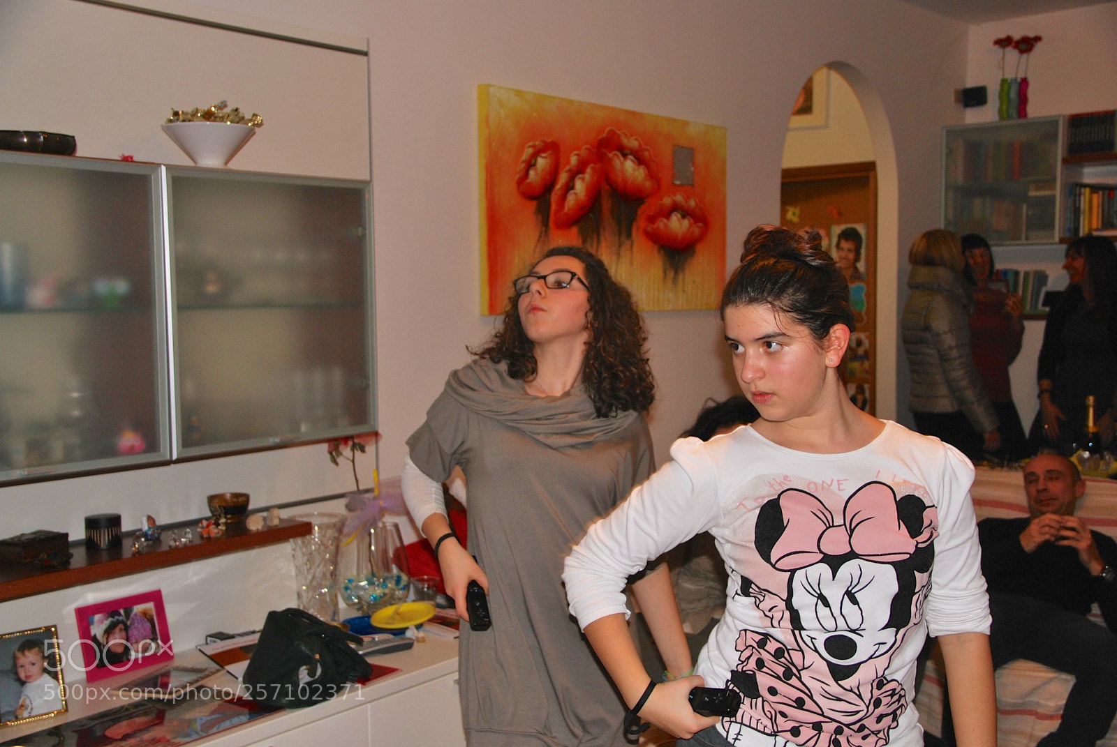Nikon D60 sample photo. Version photography