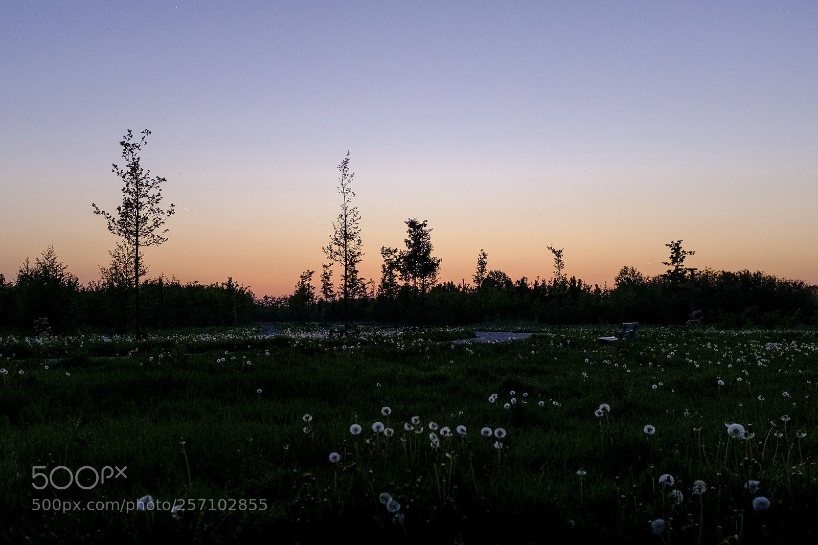 Fujifilm X100S sample photo. May sunset photography