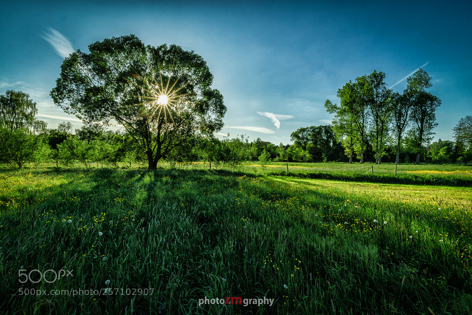 Sony a7R sample photo. A sunny day in photography