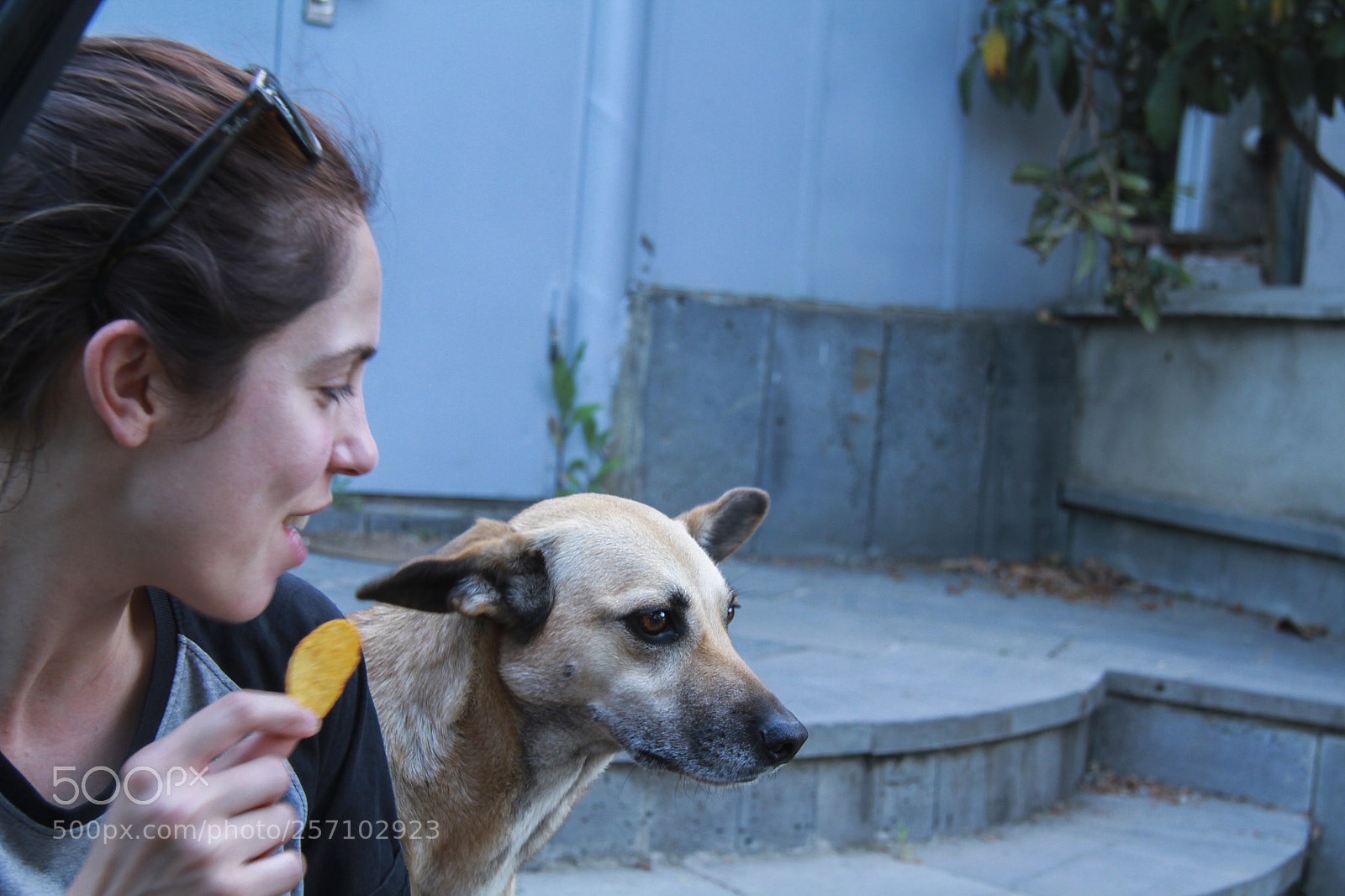 Canon EOS 7D sample photo. Untitled photography
